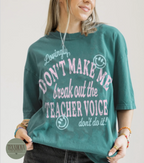 Teacher Voice Graphic