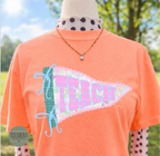 Teach Pennant Flag Graphic